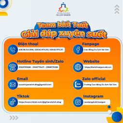 Các kênh Tư vấn