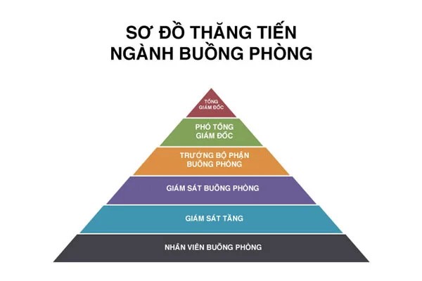 Sơ đồ thăng tiến của ngành buồng phòng