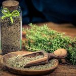 Thyme là cây gì?