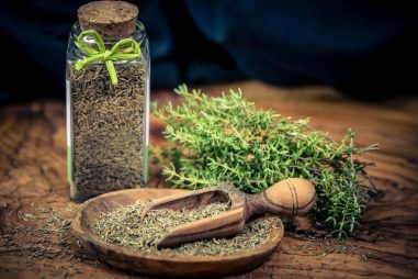 Thyme là cây gì?