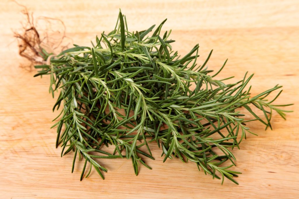 Rosemary là gì
