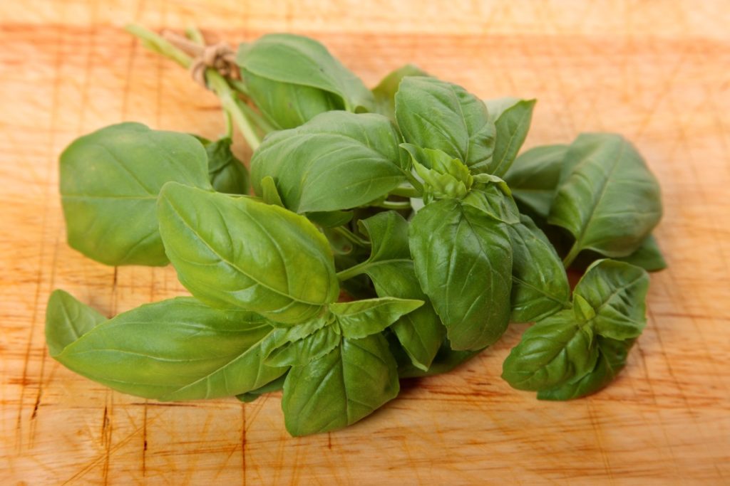 Basil là gì
