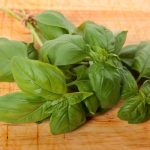 Basil là gì