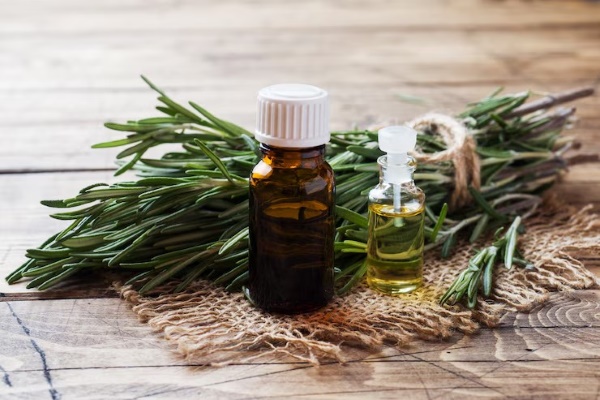 Rosemary vừa là gia vị thơm ngon vừa là thảo dược quý, hỗ trợ sức khỏe toàn diện