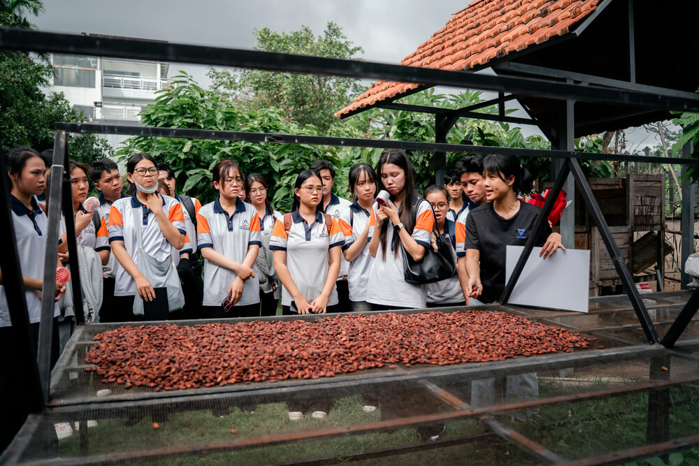 Sinh viên tìm hiểu về cacao