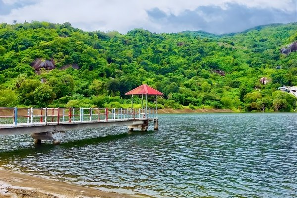 Cảm giác thật thư thái khi đứng trên cầu Hồ Soài So, hít thở không khí trong lành của vùng Bảy Núi
