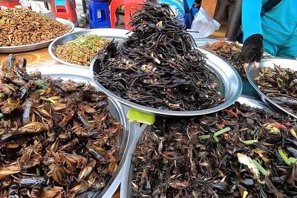 Khám phá thế giới ẩm thực độc đáo của miền Tây tại chợ Tịnh Biên với các món đặc sản từ côn trùng