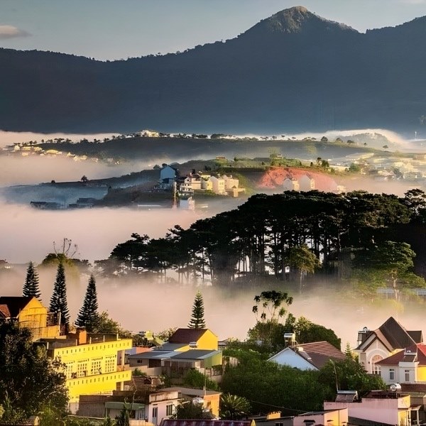 Khám phá vẻ đẹp huyền ảo của Đà Lạt và cao nguyên, nơi sương mù ôm ấp những đồi thông và kiến trúc độc đáo