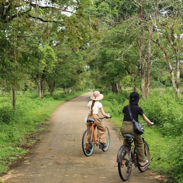 Đạp xe khám phá Vườn quốc gia Nam Cát Tiên, nơi chứa đựng hệ sinh thái rừng nguyên sinh đa dạng