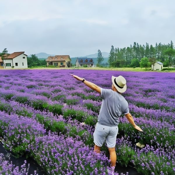 Cánh đồng "thảo dược tình yêu" ở Đà Lạt, nơi hương thơm quyến rũ kể lại những truyền thuyết cổ xưa