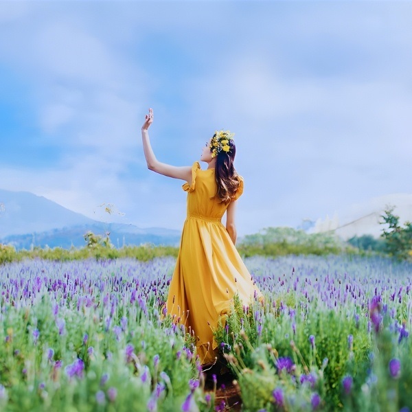 Mặc trang phục màu sáng để nổi bật giữa sắc tím Lavender
